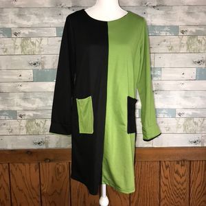 Boutique Fall colorblock tunic dress #531